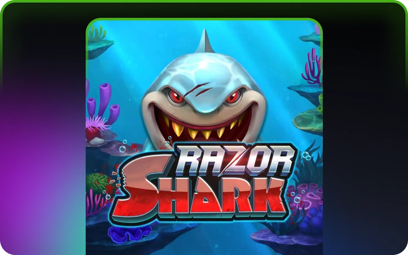 Spiele den Razor Shark Spielautomaten bei JeetCity für tolle Gewinne.